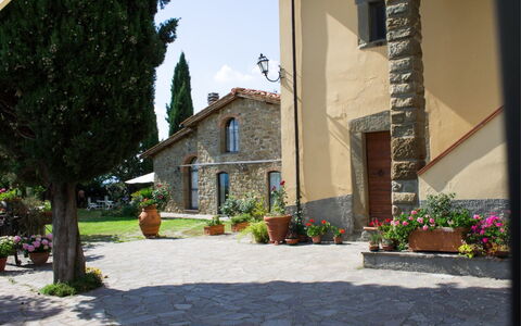 La Greppia: Plante, Bâtiment, Ciel, Pot De Fleur, Surface De La Route, Architecture, Arbre, Quartier, Maison, Plante D'Appartement