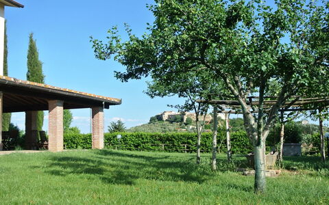 Nonno Tobia: Ciel, Plante, Vert, Paysage Naturel, Arbre, Lot Terre, Herbe, Végétation, Ombre, Prairie