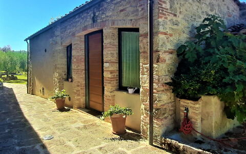 Pieve di Sant Ippolito: Plante, Bâtiment, Vert, Ciel, Pot De Fleur, Porte, Fenêtre, Lot Terre, Plante D'Appartement, Mur