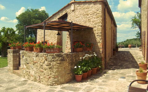Pieve di Sant Ippolito: Plante, Fleur, Ciel, Nuage, Propriété, Bâtiment, Pot De Fleur, Arbre, Ombre, Bois