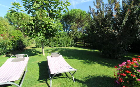 Pagliazzone: Plante, Ciel, Communauté Des Plantes, Fleur, Nuage, Paysage Naturel, Botanique, Arbre, Ombre, Mobilier De Jardin