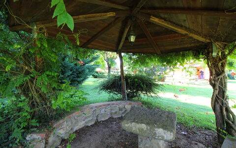 Pagliazzone: Plante, Botanique, Ombre, L'Eau, Végétation, Terrestre Des Plantes, Arecales, Suppression Des Plantes Ligneuses, Paysage Naturel, Herbe