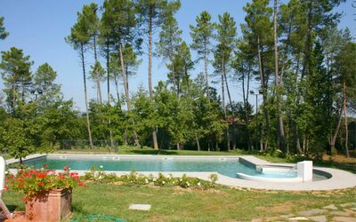 location de vacances Verde Incanto - San Timoteo, Toscane, Italie