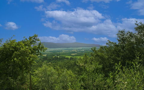 La Rogaia: Parapluie, Meubles, Mobilier De Jardin, Ombre, Chaise, Tableau De Plein Air, Pot De Fleur, Piscine, Conception, Plante D'Appartement