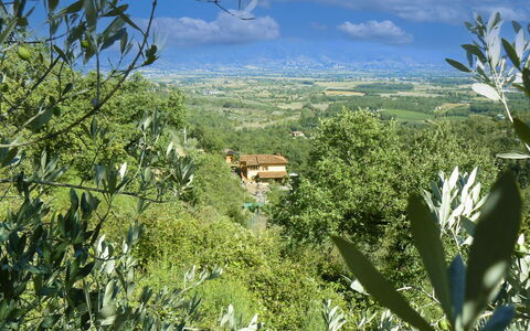 La Rogaia: Parapluie, Meubles, Mobilier De Jardin, Ombre, Chaise, Tableau De Plein Air, Pot De Fleur, Piscine, Conception, Plante D'Appartement