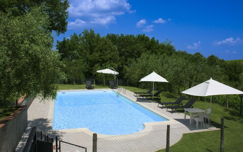 Podere San Bono: Piscine, Mobilier De Jardin, Meubles, Recours, Ombre, Composite, Balancelle, Chaise, Loisir, Parapluie