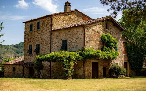 Olivo: Plante, Bâtiment, Ciel, Nuage, Fenêtre, Arbre, Maison, Lot Terre, Porte, Chalet