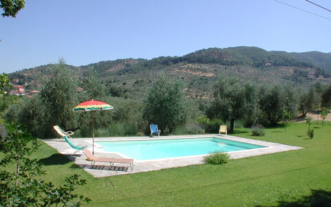 Olivo: Ciel, L'Eau, Propriété, Plante, Piscine, Botanique, Arbre, Bâtiment, Lot Terre, Rectangle