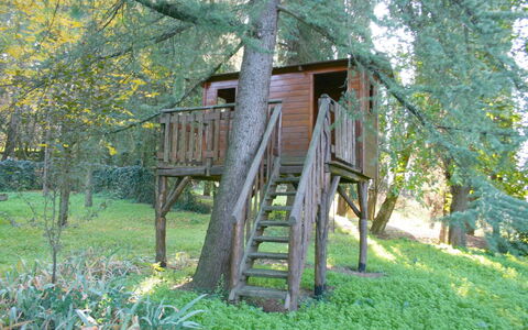 Olivo: Plante, Arbre, Bois, Paysage Naturel, Tronc, Biome, Herbe, Bâtiment, Échelle, Zone Rurale