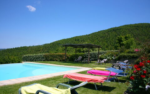 Torre di Vignale: Ciel, L'Eau, Plante, Paysage Naturel, Piscine, Mobilier De Jardin, Végétation, Plan D'Eau, Ombre, Herbe