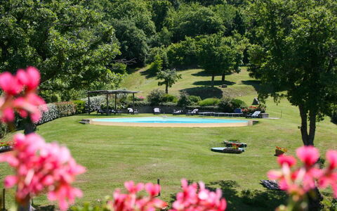 Torre di Vignale: Fleur, Plante, Botanique, L'Eau, Arbre, La Nature, Pétale, Paysage Naturel, Végétation, Herbe