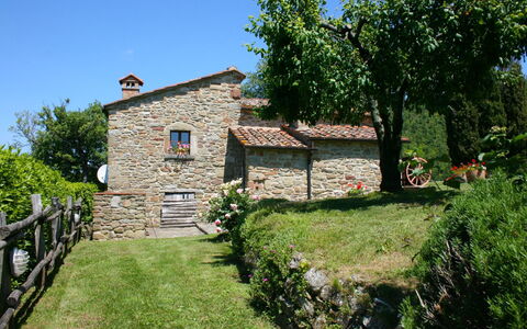 Torre di Vignale: Plante, Ciel, Bâtiment, Arbre, Paysage Naturel, Fenêtre, Lot Terre, Maison, Chalet, Loisir