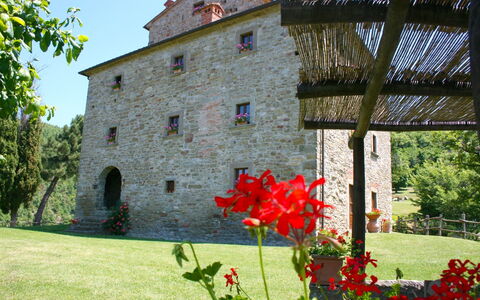 Torre di Vignale: Fleur, Plante, Bâtiment, Propriété, Fenêtre, Pétale, Ciel, Arbre, Végétation, Herbe