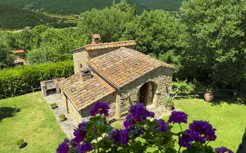 Torre di Vignale: Arbre, Paysage, Lot Terre, Zone Rurale, Parc