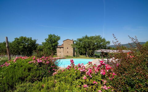 Torre di Vignale: Arbre, Paysage, Lot Terre, Zone Rurale, Parc