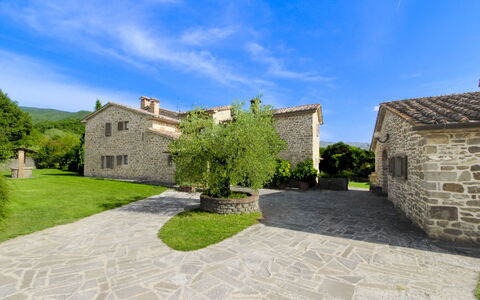 Casale Lorenzo: Arbre, Plaine, Lot Terre, Pelouse, Jardin, Biens, Prairie, Aménagement Paysager, Cour, Ferme