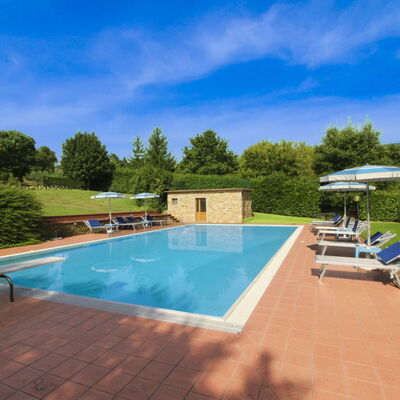 Casale Lorenzo: Arbre, Plaine, Lot Terre, Pelouse, Jardin, Biens, Prairie, Aménagement Paysager, Cour, Ferme