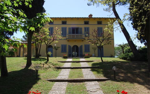 Poggio Falcone: Plante, Ciel, Bâtiment, Propriété, Fenêtre, Botanique, Arbre, Maison, Herbe, Lot Terre
