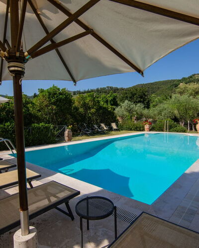 Villa degli Olivi: L'Eau, Bâtiment, Ciel, Propriété, Meubles, Plante, Piscine, Table, Bleu Azur, Parapluie