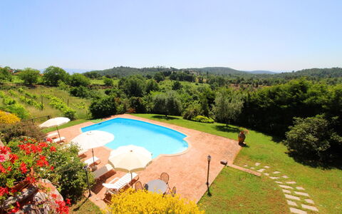 Villa Verniana: Plante, Fleur, L'Eau, Ciel, Communauté Des Plantes, Arbre, Paysage Naturel, Environnement Naturel, Piscine, Loisir