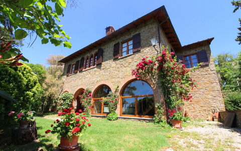 Villa Verniana: Fleur, Ciel, Plante, Bâtiment, Fenêtre, Pot De Fleur, Maison, Arbre, Chalet, Porte