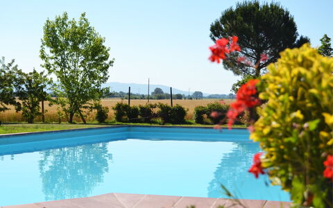 Villa Cantagallo: L'Eau, Plante, Ciel, Piscine, Fleur, Bleu Azur, La Nature, Arbre, Herbe, Paysage Naturel