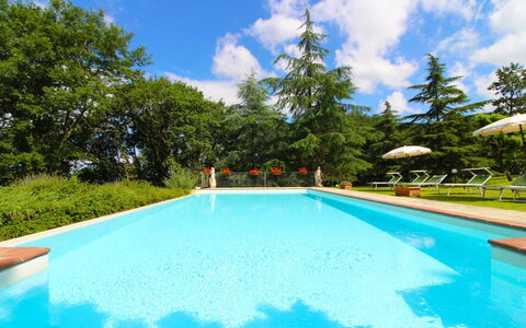 Villa Cecilia: L'Eau, Nuage, Plante, Ciel, Piscine, Arbre, Ombre, Herbe, Paysage Naturel, Loisir