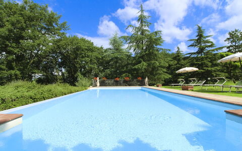 Villa Cecilia: Maison, Domicile, Biens, Chalet, Pelouse, Jardin, Aménagement Paysager, Ferme, Hacienda, Cour