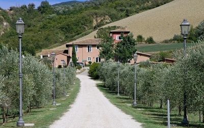 location de vacances Cavalieri - Alviano, Ombrie, Italie - Cavalieri 1