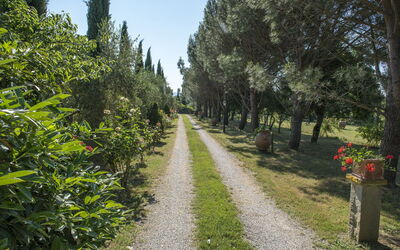 Villa Elisa