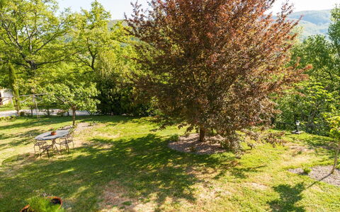 Casa la Primula: Plante, Communauté Des Plantes, Vert, Branche, Paysage Naturel, Lot Terre, Végétation, Arbre, Herbe, Ombre