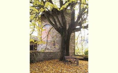 Logement:&nbsp;San Martino