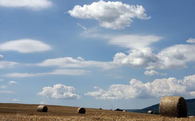 La ferme