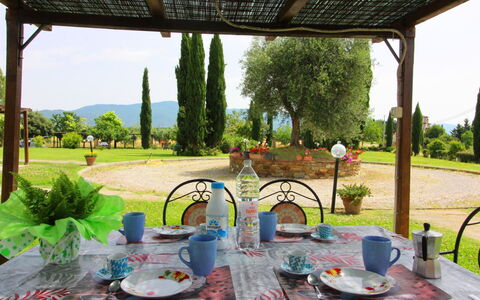 Podere Marcigliano: Vaisselle, Table, Plante, Propriété, Vert, Design Intérieur, Ciel, Textile, Arbre, Ombre