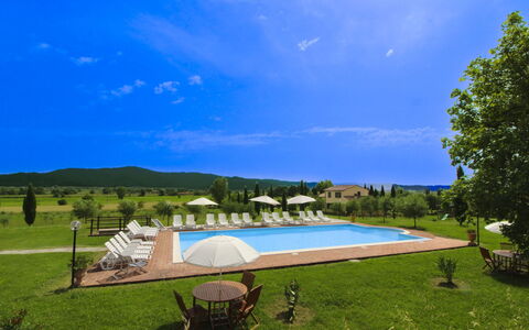 Podere Marcigliano: Jardin, Chalet, Ferme, Ombre, Aménagement Paysager, Biens, Cour, Arrière-Cour, Mur De Pierre, Hacienda