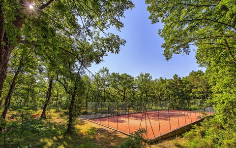 Podere Sant'angelo: La Nature, Arbre, Paysage Naturel, Environnement Naturel, Ciel, Réserve Naturelle, Forêt, Des Bois, Biome, Feuille