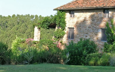 Compignano West