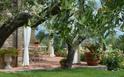 Nel Guasto: Arbre, Propriété, Jardin, Plante, Botanique, Arrière-Cour, Cour, Suppression Des Plantes Ligneuses, Fleur, Aménagement Paysager