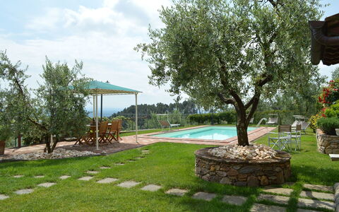 Nel Guasto: Propriété, Cour, Herbe, Arrière-Cour, Arbre, Pelouse, Immobilier, Maison, Aménagement Paysager, Lot Terre