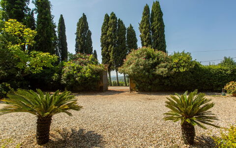 Villa Pedone: Plante, Ciel, Communauté Des Plantes, Arbre, Lot Terre, Herbe, À Feuilles Persistantes, Arecales, Paysage Naturel, Suppression Des Plantes Ligneuses