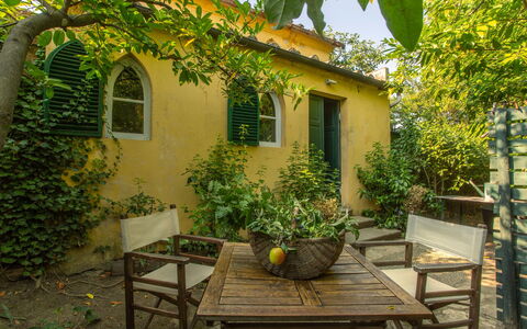 Villa Pedone: Jaune, Arbuste, Porte, Jardin, Domicile, Printemps, Pot De Fleur, Chalet, Arrière-Cour, Ombre