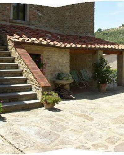 Picchio 1