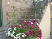 Villa Polvano Polvano 1 - the entrance and the flowers