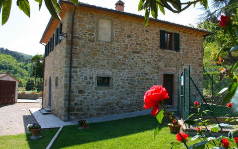 Casa Antica: Plante, Bâtiment, Ciel, Propriété, Fenêtre, Vert, Fleur, Arbre, Maison, Herbe