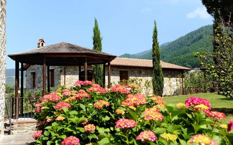 Logement:&nbsp;Margherita
