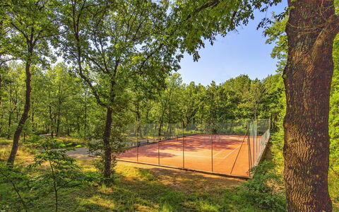 Villa Sant' Angelo: La Nature, Paysage Naturel, Arbre, Environnement Naturel, Réserve Naturelle, Des Bois, Forêt, Biome, Complexe Sportif, Suppression Des Plantes Ligneuses