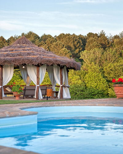 Villa Sant' Angelo: Piscine, Propriété, Bâtiment, Maison, Recours, Loisir, Immobilier, Vacances, L'Eau, Arbre