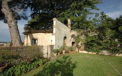 Le Camelie
