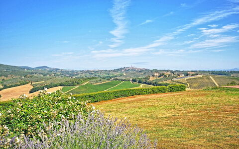 Vittoriana: Ciel, Paysage Naturel, La Nature, Bleu, Vert, Prairie, Colline, Herbe, Environnement Naturel, Nuage