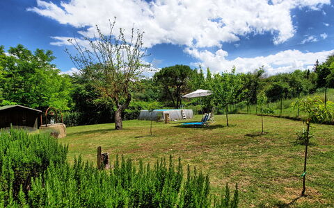 Villa Diletta: Paysage Naturel, Végétation, Vert, Propriété, Lot Terre, Prairie, Herbe, Réserve Naturelle, Pâturage, Environnement Naturel